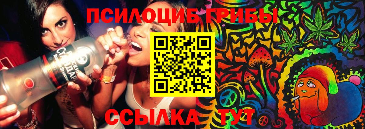 Псилоцибиновые грибы MAGIC MUSHROOMS Скопин