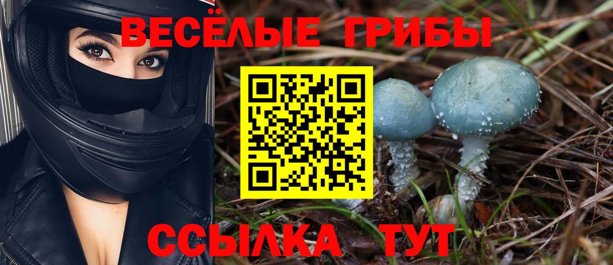 Псилоцибиновые грибы прущие грибы  Вход с VPN  Скопин 